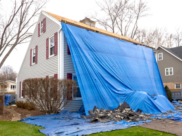 Best Stone Veneer Siding  in Marcus, IA